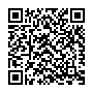 Immigration Hold Song - QR Code