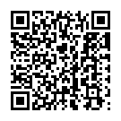 The Soul Fly (Instrumental) Song - QR Code
